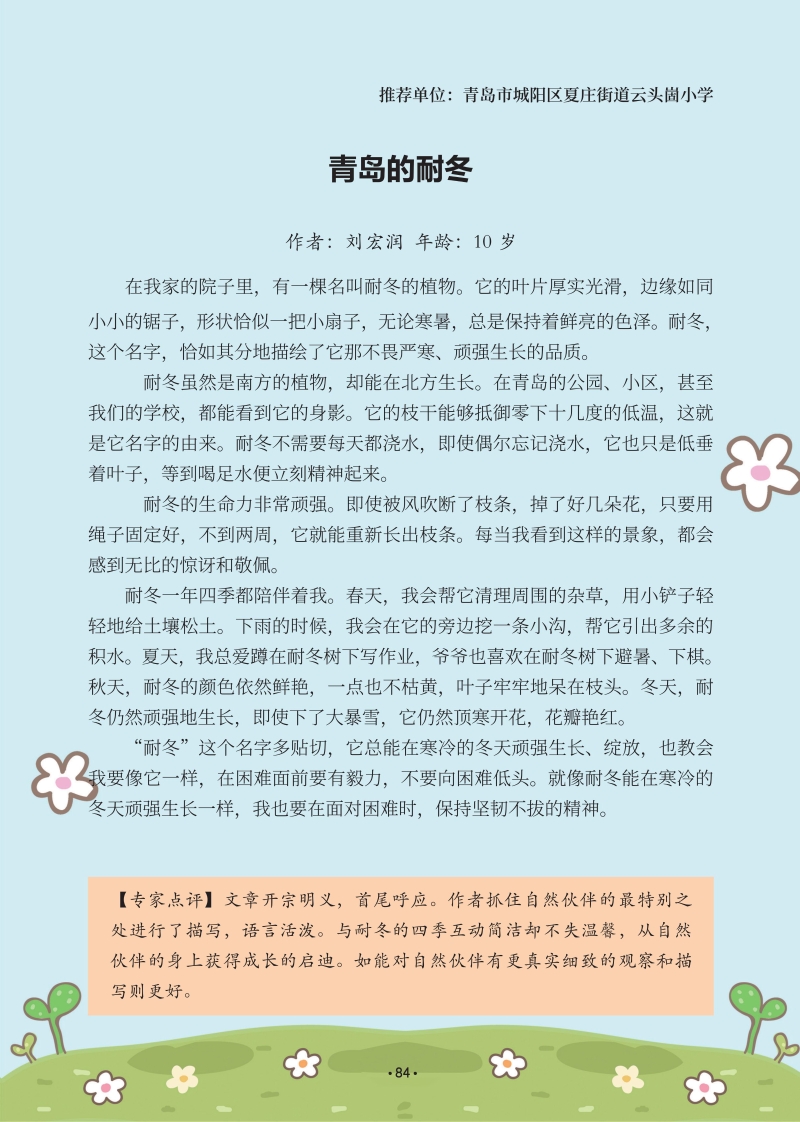 青岛的耐冬.jpg