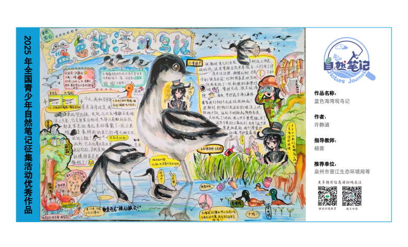 5_福建07_蓝色海湾观鸟记_许静涵_杨茜.png