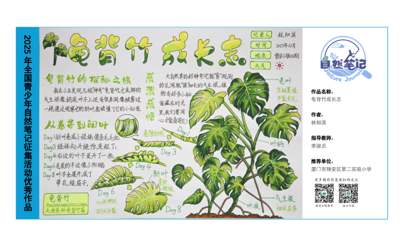 5_福建08_龟背竹成长志_林知淇_李淑贞.png