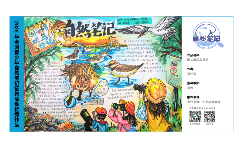5_福建11_围头湾观鸟日记_黄钰菡_杨茜.png