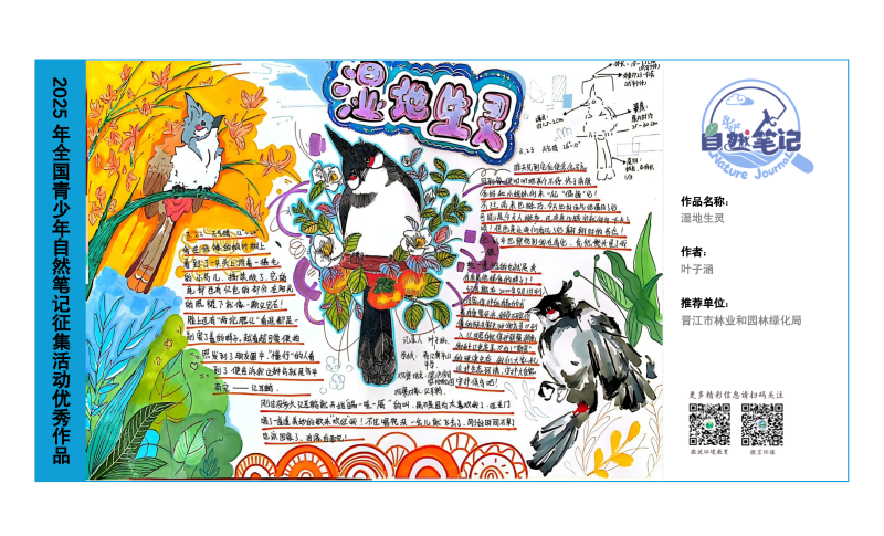 5_福建04_湿地生灵_叶子涵.png