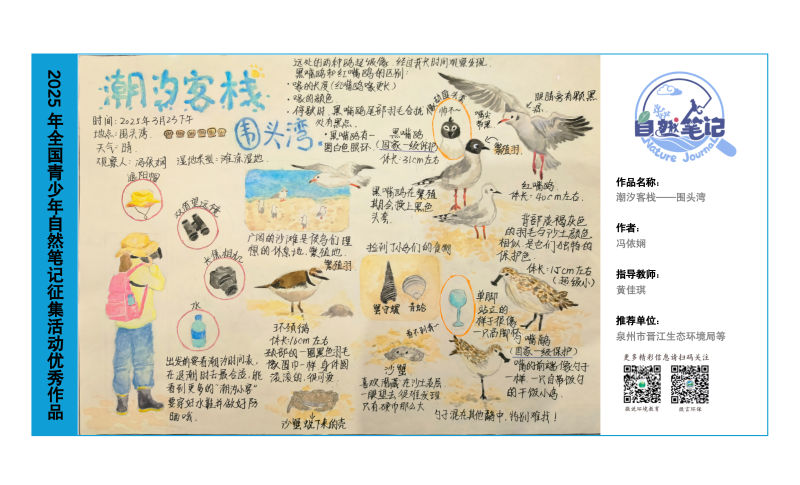 5_福建13_潮汐客栈——围头湾_冯依娴_黄佳琪.png