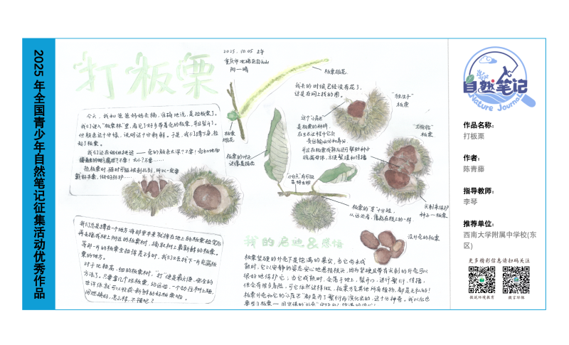 7-广东重庆_11打板栗_陈青藤_李琴.jpg.png